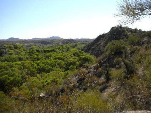 A True Hidden Gem, The 770-Acre Hassayampa River Preserve Is Perfect For Arizona Nature Lovers