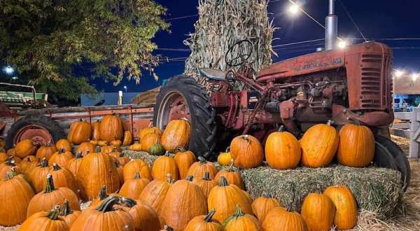 The Utah Pumpkin Patch Where You Can Also Take A Hayride