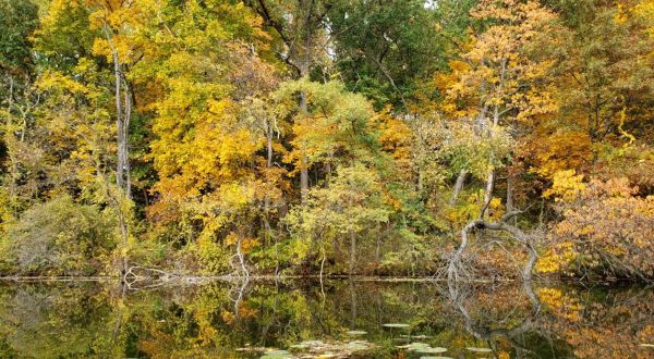 The Awesome Hike That Will Take You To The Most Spectacular Fall Foliage In Metro Detroit