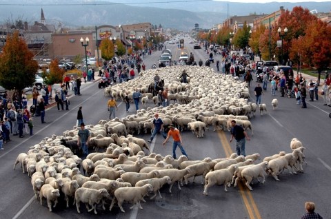 The Fall Festival In Utah That’s Unlike Any Other