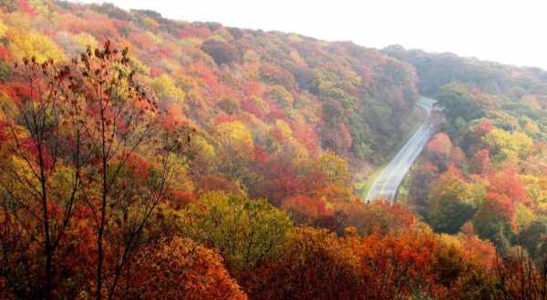 Fall Is Here And These Are The 7 Best Places To See The Changing Leaves In Oklahoma