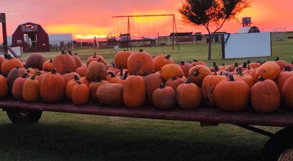Nothing Says Fall Is Here More Than A Visit To Oklahoma’s Charming P Bar Farms
