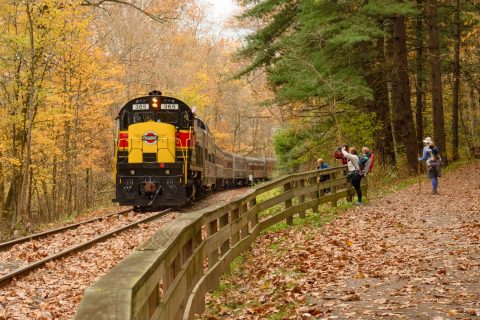 This Ohio Train Ride Leads To The Most Stunning Fall Foliage You've Ever Seen