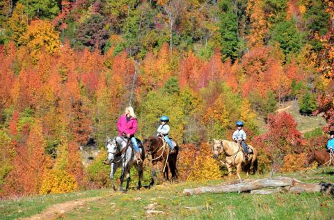 Take A Fall Foliage Trail Ride On Horseback At Horseshoe Canyon Ranch In Arkansas