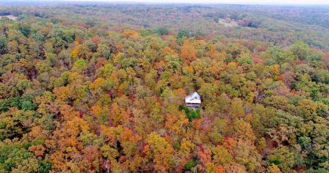 Go Pumpkin Picking, Then Sleep In A Cabin Surrounded By Fall Foliage On This Weekend Getaway In Missouri