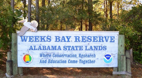 Weeks Bay Reserve In Alabama Is One Of The Most Stunning Lesser-Known Places In The U.S.