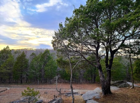 There's A Little-Known Nature Preserve Just Waiting For Alabama Explorers