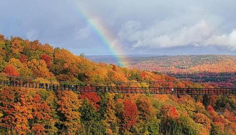 The World's Longest Timber-Towered Suspension Bridge Is Here In Michigan And It’s An Unforgettable Adventure