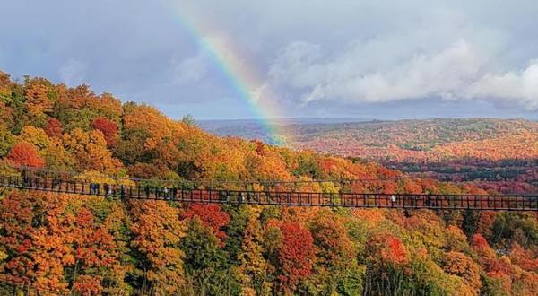 The World’s Longest Timber-Towered Suspension Bridge Is Here In Michigan And It’s An Unforgettable Adventure
