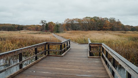 The New Jersey State Park Where You Can Hike Across A Crabbing Bridge And Boardwalk Staircase Is A Grand Adventure