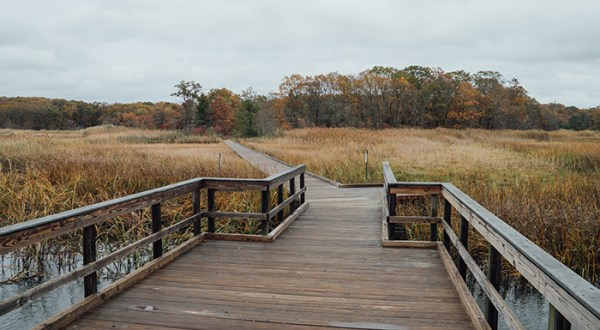 The New Jersey State Park Where You Can Hike Across A Crabbing Bridge And Boardwalk Staircase Is A Grand Adventure