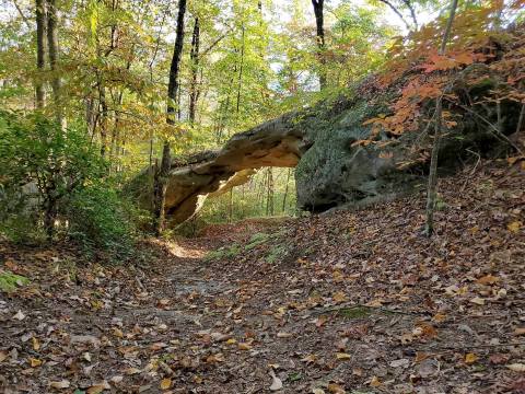 Hike Beneath A Hidden Rock Bridge At This Popular Kentucky State Park