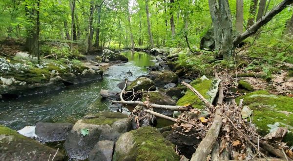 There’s A Little-Known Nature Trail Just Waiting For Rhode Island Explorers