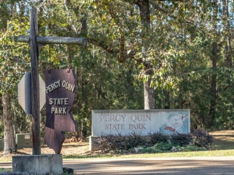 There's Almost Nothing A Hike In Mississippi Nature At Percy Quin State Park Can't Cure