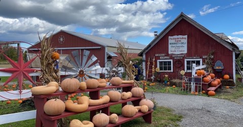 Go Apple Picking, Then Sleep In A Cabin Surrounded By Fall Foliage On This Weekend Getaway In New Jersey