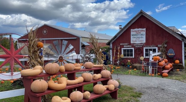 Go Apple Picking, Then Sleep In A Cabin Surrounded By Fall Foliage On This Weekend Getaway In New Jersey
