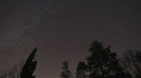 Kentucky Is Home To One Of The Best Dark Sky Reserves In The World