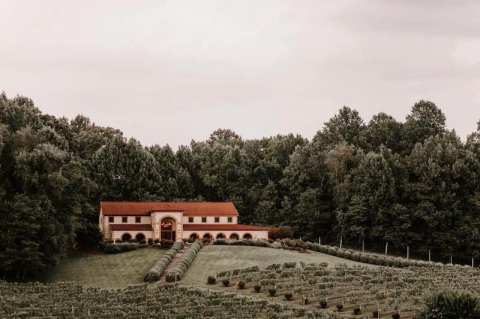 Running Hare Vineyard In Maryland Is Like Something Straight Out Of Tuscany