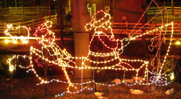This Tennessee Zoo Has One Of The Most Spectacular Christmas Light Displays You’ve Ever Seen