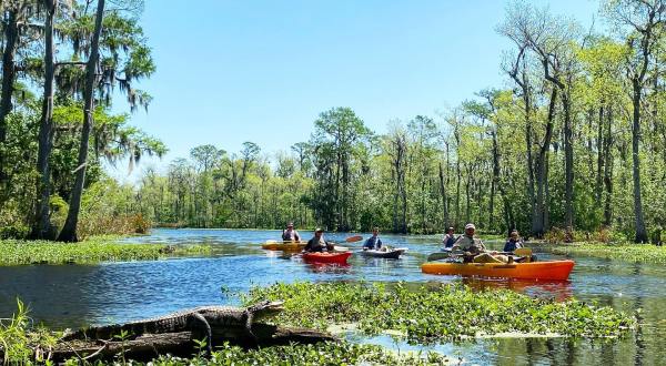 Kayak Through The Manchac Swamp On This Unique Adventure in Louisiana