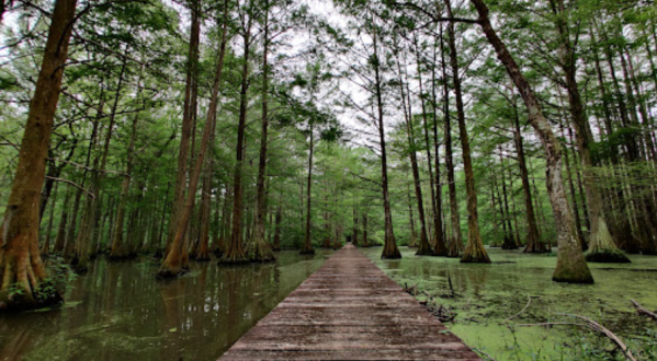 The Small Louisiana Town Of Ville Platte Has More Outdoor Attractions Than Any Other Place In The State