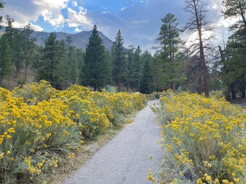 There's A Little-Known Nature Trail Just Waiting For Nevada Explorers