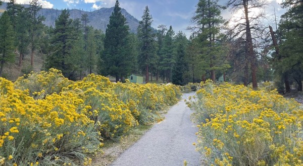 There’s A Little-Known Nature Trail Just Waiting For Nevada Explorers