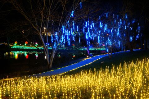 Surround Yourself With Thousands Of Dazzling Lights On Virginia's Winter Wander Trail