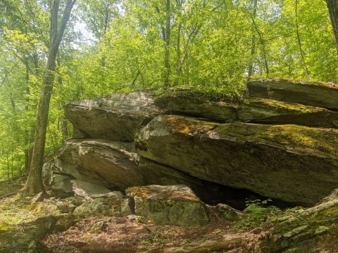 Hike To This Hidden Cave In Rhode Island For An Out-Of-This World Experience