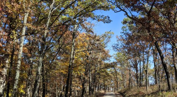 The 23-Mile Scenic Drive In Missouri You Will Want To Take As Soon As You Can