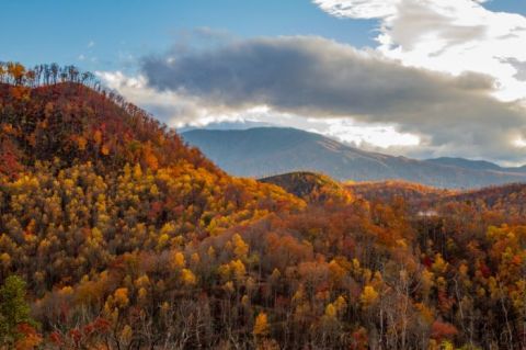 This Tennessee Gondola Ride Leads To The Most Stunning Fall Foliage You've Ever Seen