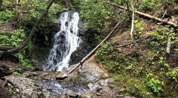 Take This Easy Trail To An Amazing 25-Foot Waterfall In Tennessee