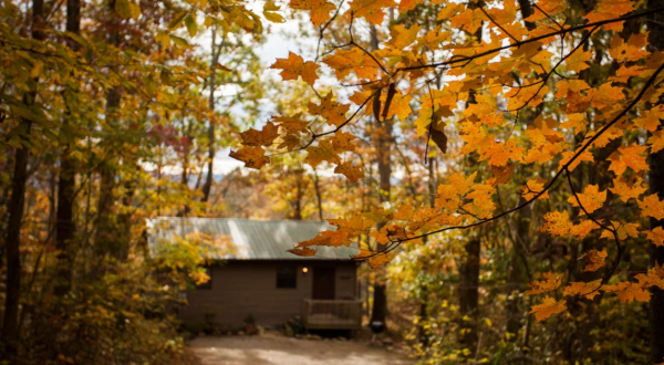 Go Apple And Pumpkin Picking, Then Sleep In A Cabin Surrounded By Fall Foliage On This Weekend Getaway In Tennessee