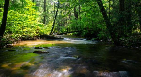 Visit Laurel Run Park In Tennessee, A Hidden Gem That Has Its Very Own Waterfall
