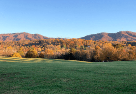The City Park Walk In Tennessee That Offers Unforgettable Views