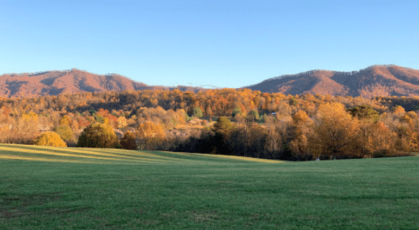 The City Park Walk In Tennessee That Offers Unforgettable Views