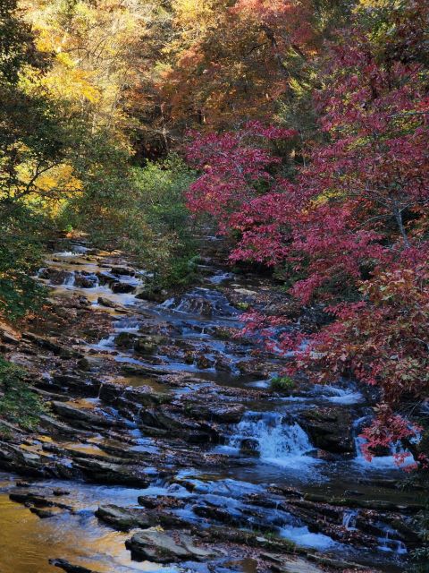 The 1-Mile Tumbling Waters Trail In Georgia Is Full Of Jaw-Dropping Views
