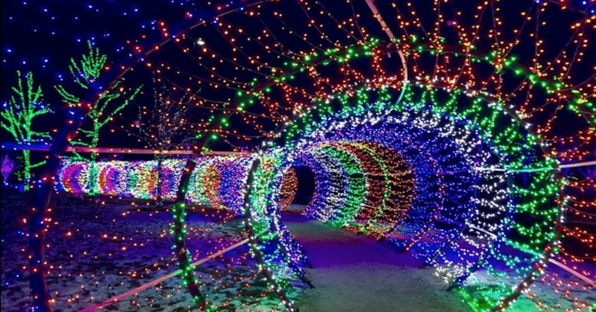 Scentsy Christmas Lights: Walk Through 45-Miles Of Lights In ID