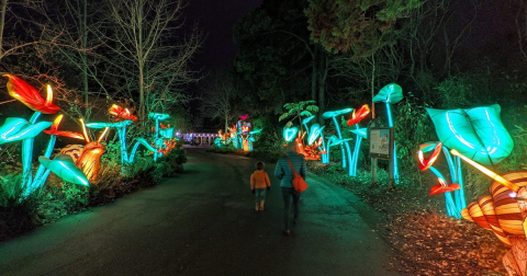 10 Christmas Light Displays In Washington That Are Pure Magic