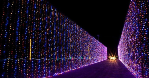 Here Are The 11 Best Christmas Light Displays In Virginia. They’re Incredible.