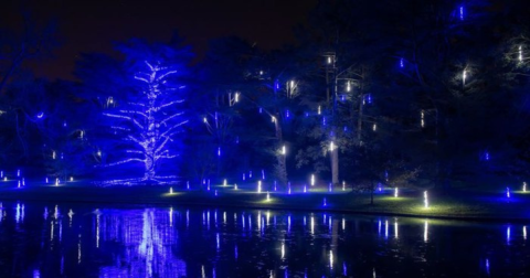 The Garden Christmas Light Displays At Longwood Gardens In Pennsylvania Is Pure Holiday Magic