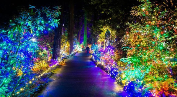 The Christmas Light Display At The Grotto In Oregon Is Pure Holiday Magic