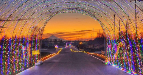 This Winter Wonderland Themed Drive-By Christmas Lights Display In Oregon Will Make Your Holiday Season Magical