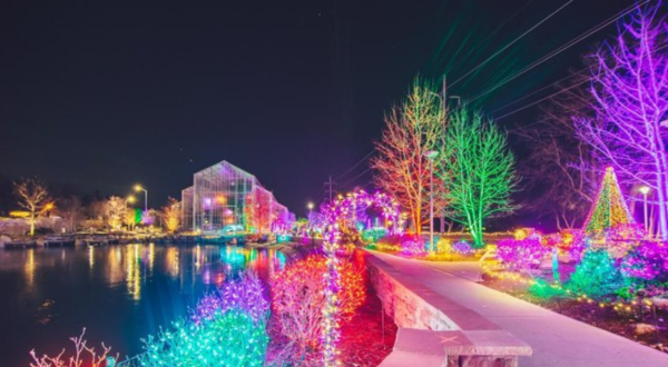 The Garden Christmas Light Displays At Nicholas Conservatory & Gardens In Illinois Is Pure Holiday Magic