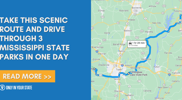 Take This Scenic Route And Drive Through 3 Mississippi State Parks In One Day