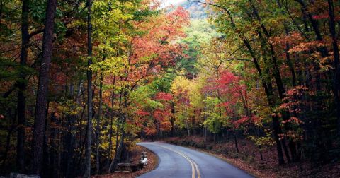 Go Pumpkin Picking, Then Sleep In A Cabin Surrounded By Fall Foliage On This Weekend Getaway In North Carolina