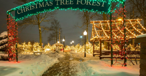 The Magical Christmas Tree Forest In New York That Only Gets Better Year After Year