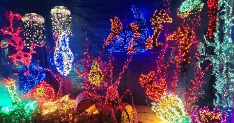 The Garden Christmas Light Displays At Garden D'Lights In Washington Are Pure Holiday Magic