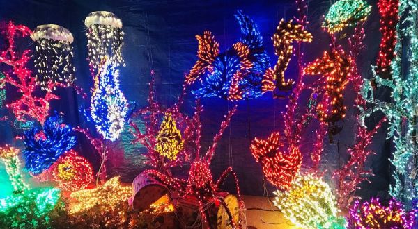 The Garden Christmas Light Displays At Garden D’Lights In Washington Are Pure Holiday Magic