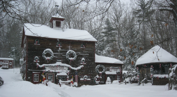 Oakwood Farm Christmas Barn In Massachusetts Is Simply Magical